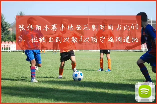 张伟丽本赛季地面压制时间占比60%，但被击倒次数3次防守漏洞遭批评