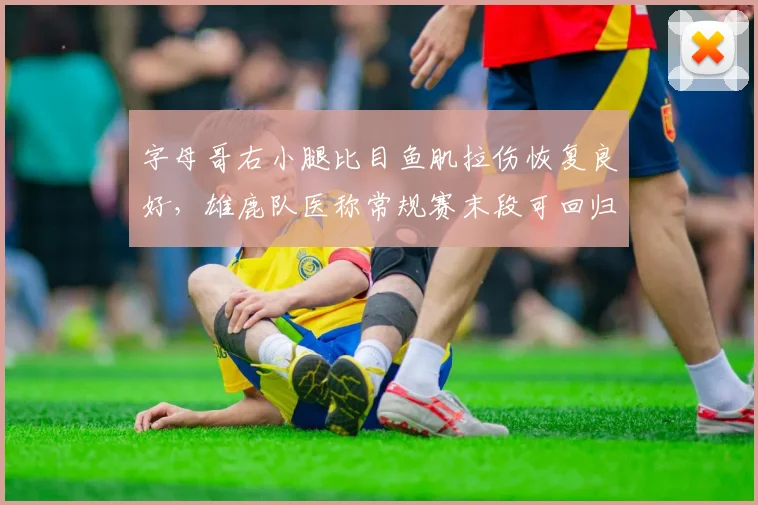 字母哥右小腿比目鱼肌拉伤恢复良好，雄鹿队医称常规赛末段可回归